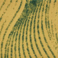 330 R-PAL | Moquette Design Col. 25004